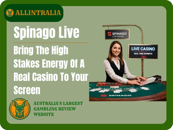 Spinago Live Bring The High Stakes Energy Of A Real Casino To Your Screen